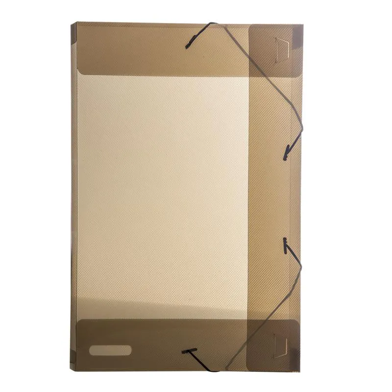 Pasta com aba elástico 1/2 ofício lombo 25mm - Line - transparente fumê - 0253.I - Dello