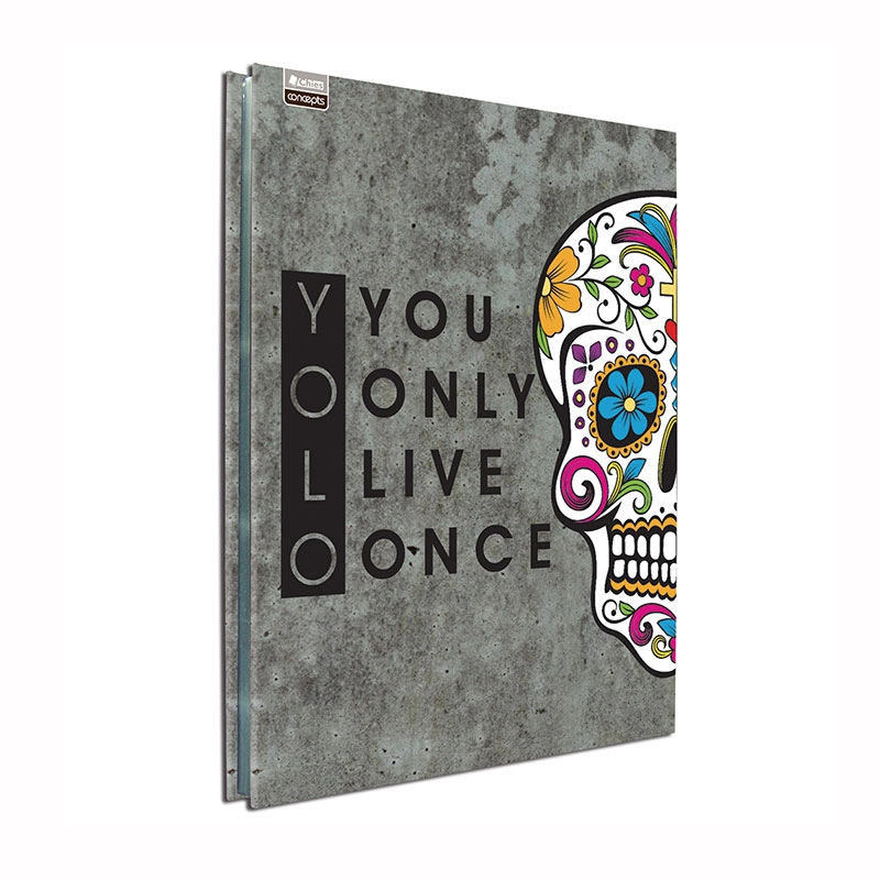 Pasta catálogo ofício 0184-7 caveira mexicana com 25 plásticos - Hemon