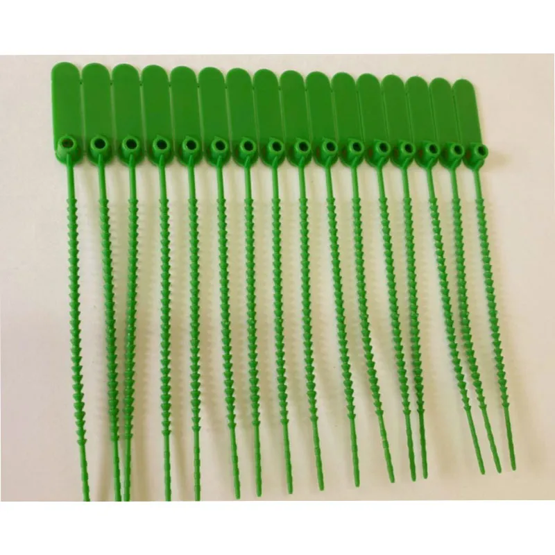 Lacre espinha de peixe 16cm verde com 100 unidades