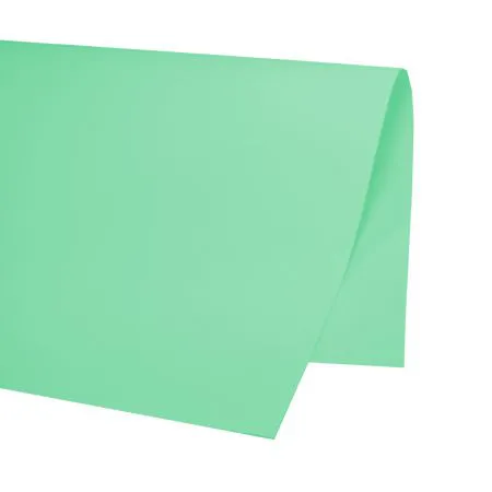 Papel cartão color set Verde claro 48x66cm 20 folhas - VMP