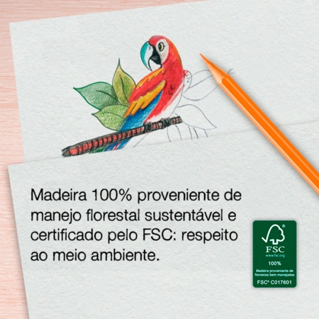 Lápis de cor 12 cores 120112+3GR - Faber-Castell