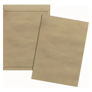 Envelope saco kraft SKN128 200x280mm blister com 10 unidade - Scrity