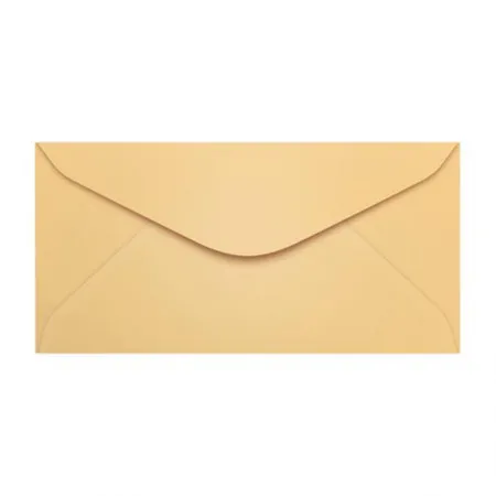 Envelope Color Plus Salmão 114x229mm 100und Scrity