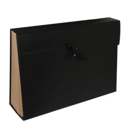 Pasta sanfonada ofício 31 divisões AZ/131 1000 Percalux Delucas