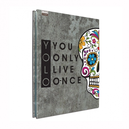 Pasta catálogo ofício 0184-7 caveira mexicana com 25 plásticos - Hemon